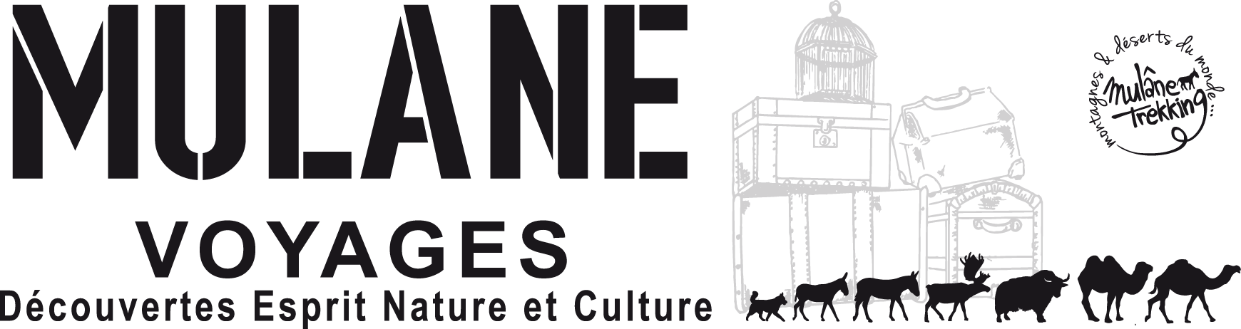 Contact Mont-Blanc professionnel : Mulane Voyages